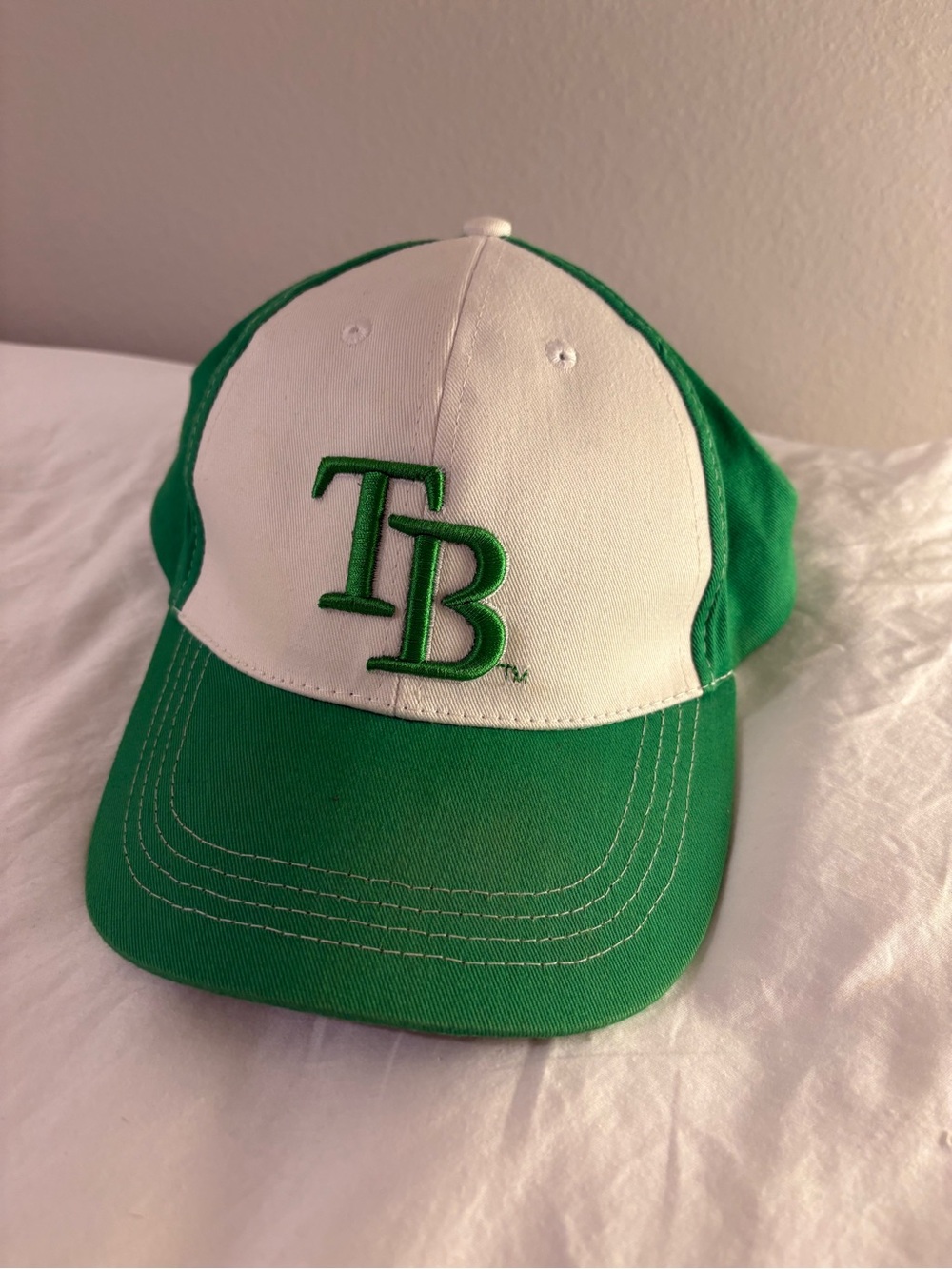 Tanpa bay rays earth day hat
